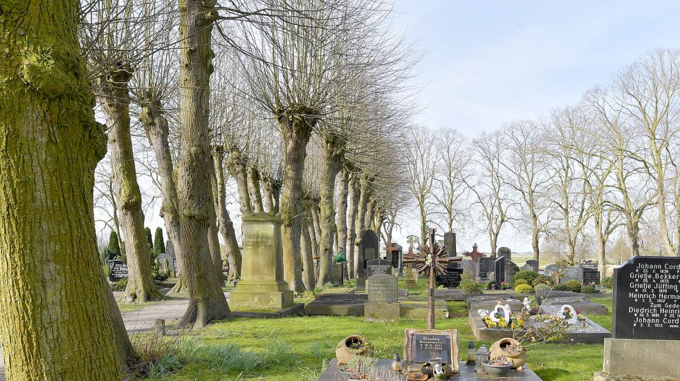 Der historische Friedhof liegt auf der Warft, wo bis Ende des 18. Jahrhunderts die alte Kirche stand. Das Denkmal unter den Bäumen erinnert an den früheren Pastor Clinge. An der Stelle war der Chorraum der Kirche. Foto: Ortgies