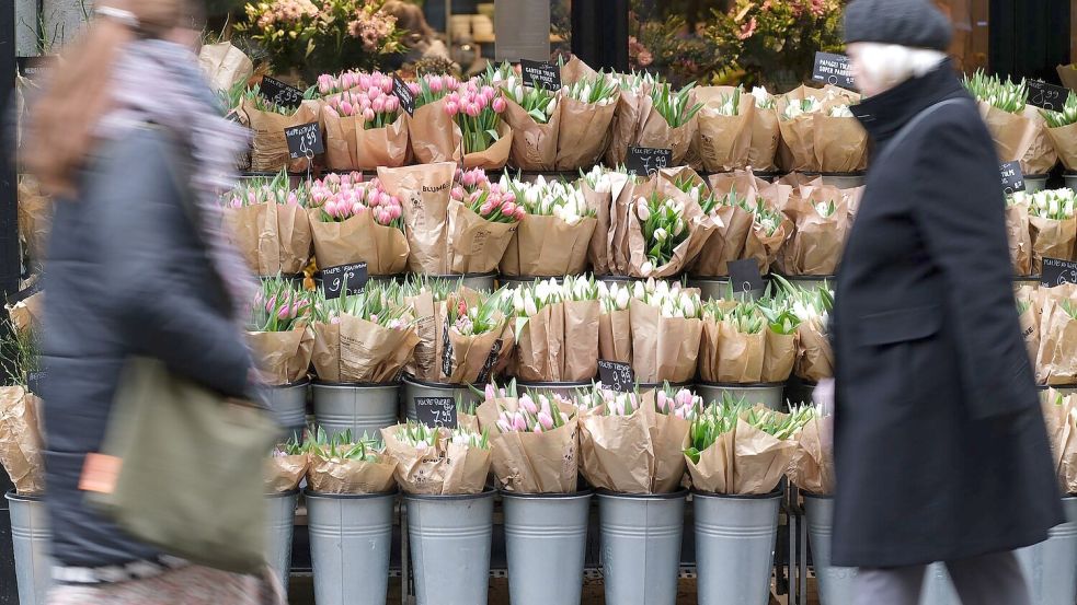 Für Tulpen müssen Verbraucher in diesem Jahr tiefer in die Tasche greifen. (Archivbild) Foto: Sebastian Willnow/dpa