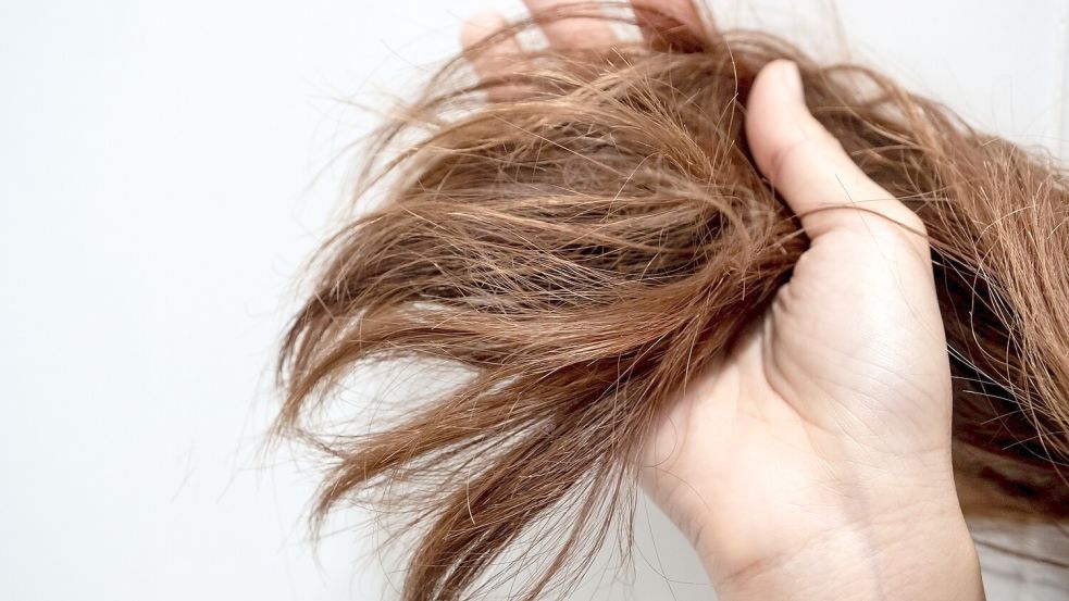 Die Frauen zogen sich unter anderem an den Haaren. Symbolfoto: Sathaporn/stock.adobe.com