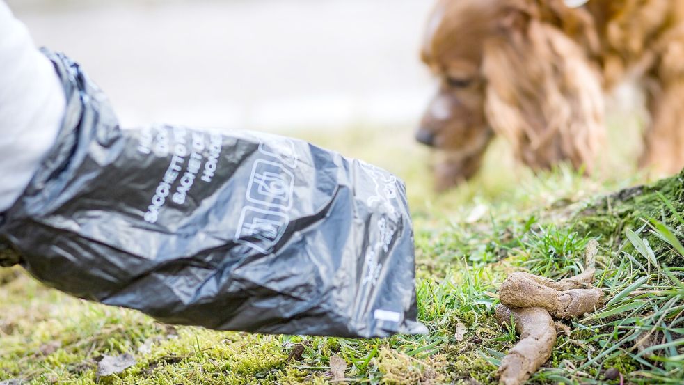 Hundebesitzer müssen die Hinterlassenschaften ihres Vierbeiners beseitigen. Andernfalls droht ein Bußgeld. Für manche Menschen könnte es sogar noch weiter gehen. Symbolfoto: Schmidt/dpa