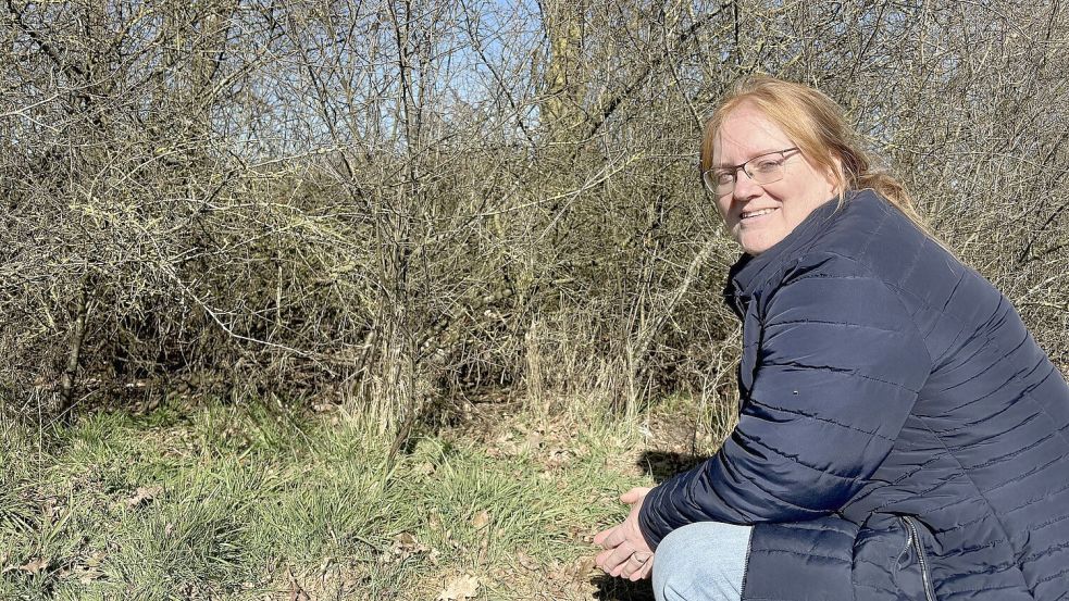 Der Verein Rettet das Huhn ist vor Ort, um den Hahn zu fangen. Irgendwo in diesem Gebüsch hat er sich verkrochen. Foto: Löschen