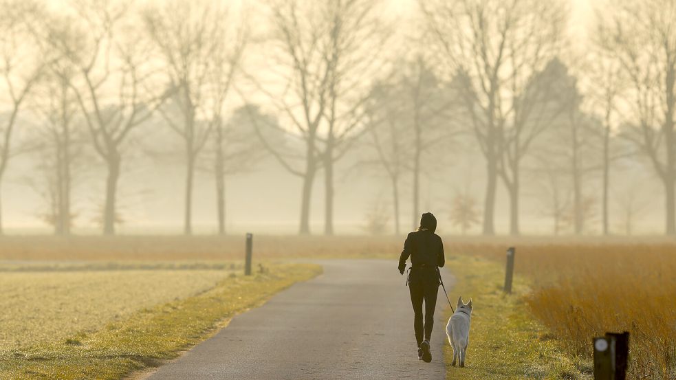 Eine Joggerin mit Hund ist im dunstigen Morgenlicht zu sehen. Staub aus der Sahara macht das Sonnenlicht in Deutschland derzeit etwas milchiger und wärmer. Foto: Christoph Reichwein/dpa