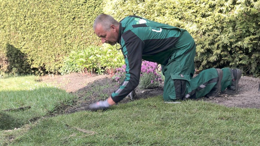 Die Gartenpflege und Beetbepflanzung wird von UNO sorgfältig ausgeführt.