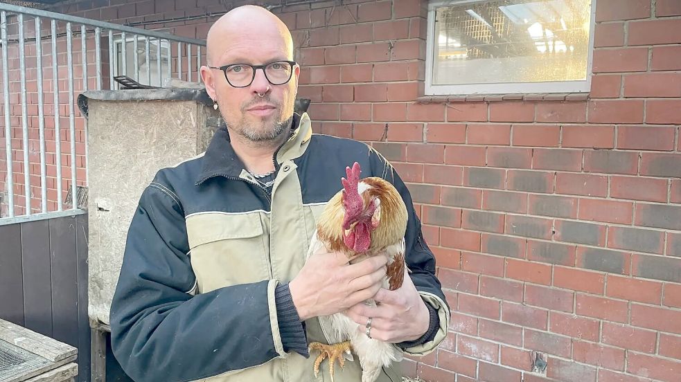 Marc Winters vom Gnadenhof Sögel kümmert sich um Hahn „Hermann“. Foto: Felix Francke