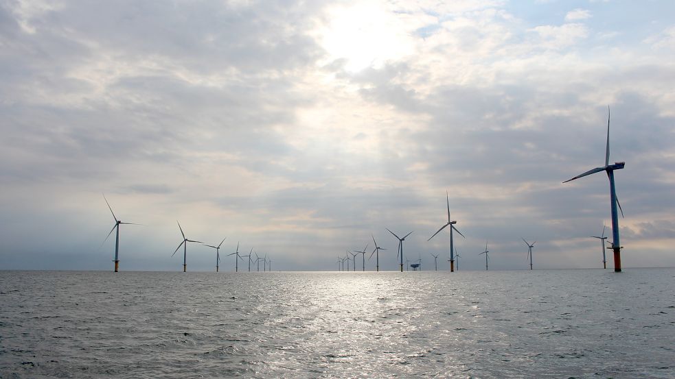 Energieexpertin Im Interview: Wie Die Nordseeküste In Der Energiewende ...